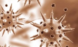 nanoparticule piège la grippe A